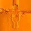 Super Ingrediente : Vitamina C
